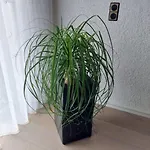Harzhaus Rauch Apartamento *
